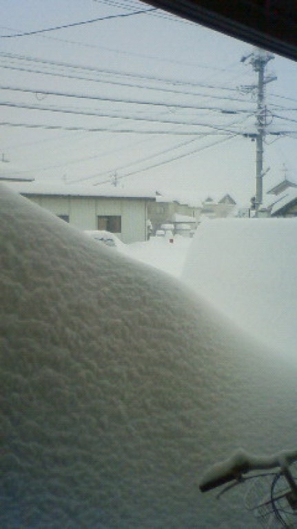 少し分かりずらいですが、手前と奥は、すっぽりと雪をかぶった車です！！